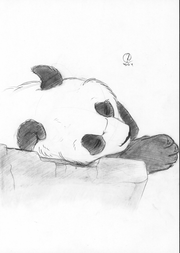 Sleeping Lazy Panda