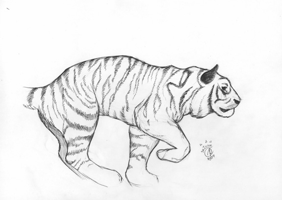 Tiger