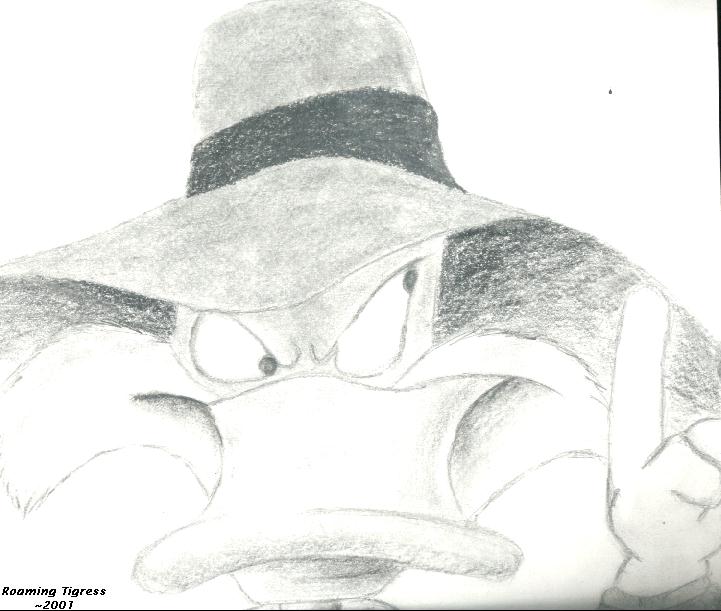 Darkwing Duck