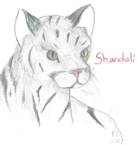 Shanduli -- Headshot