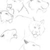 Ironpaw  -- Expressions