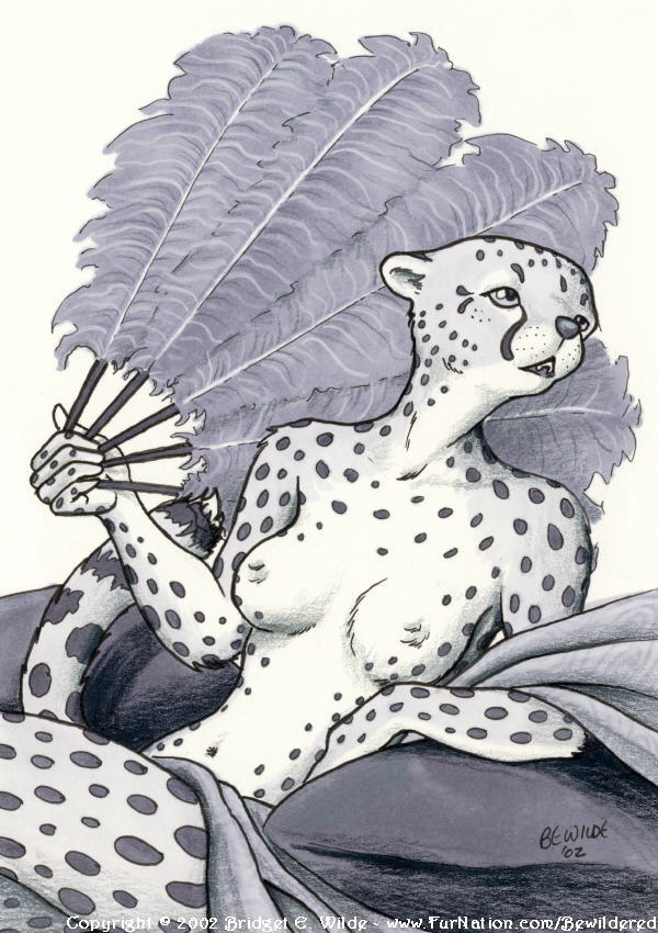 Cheetah postcard