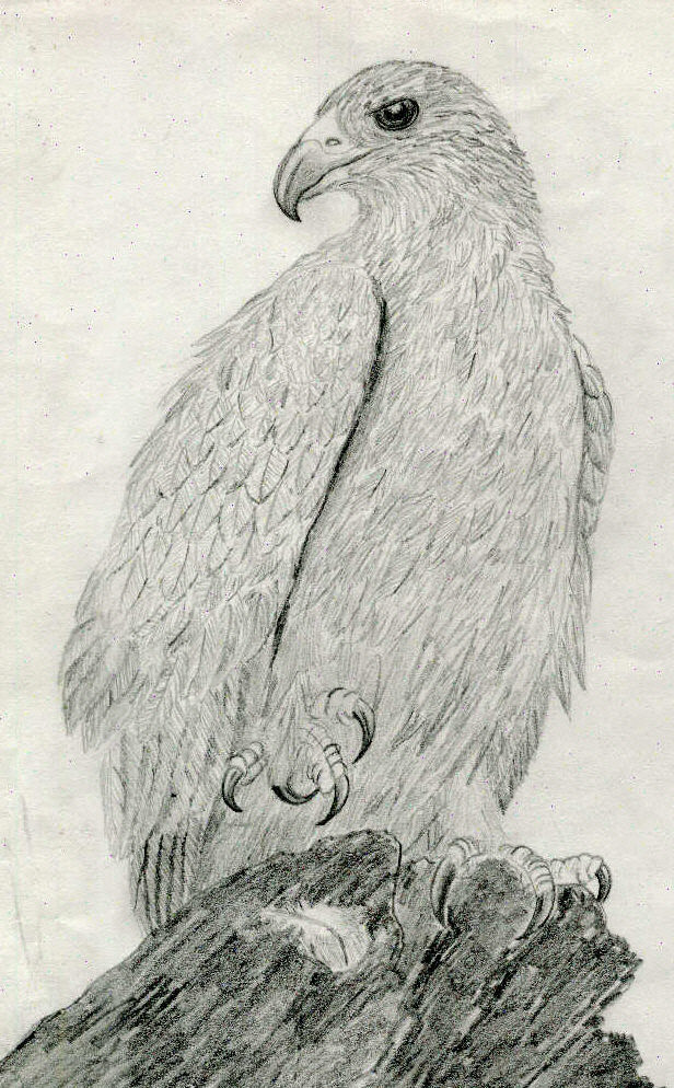 Eagle