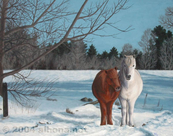 Horses in Snow