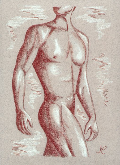 male torso