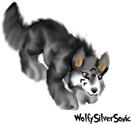 WolfySilverSonic