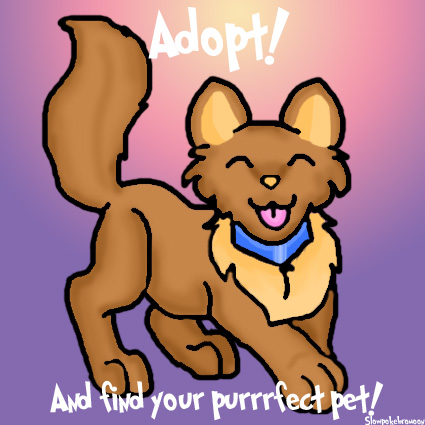 Wocky Adopt Poster