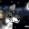 WolfySilverSonic gazing at the moon