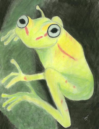 Golem Frog