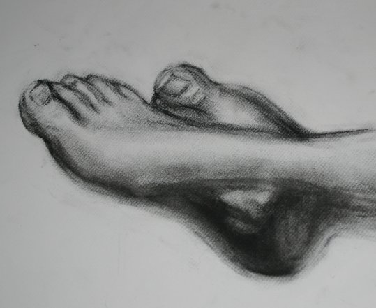 Human Foot