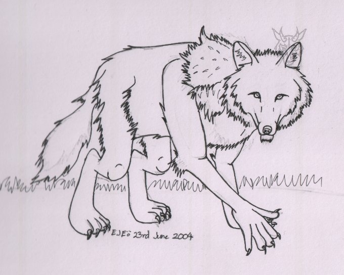 Anthro wolf