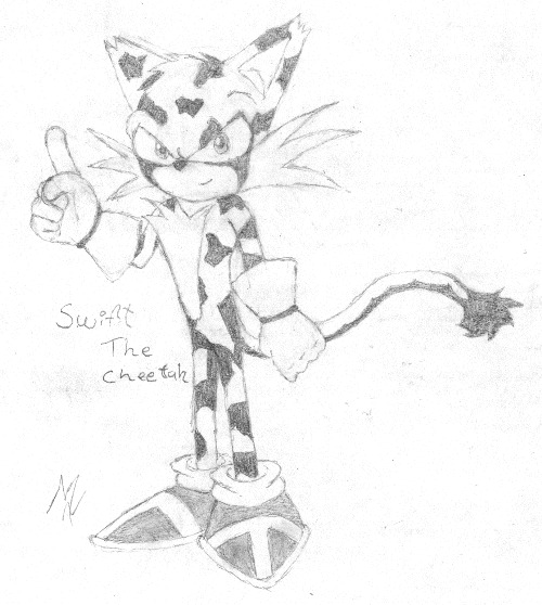 Swift The Cheetah