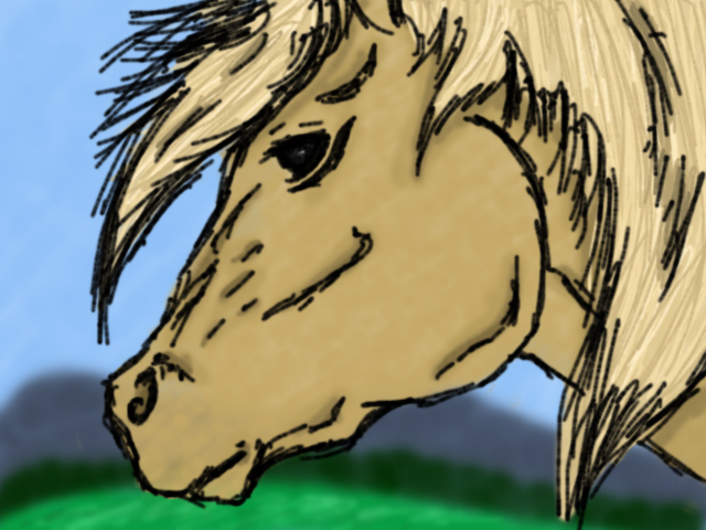 Palomino doodle