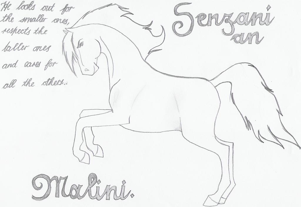 Senzani An Malini