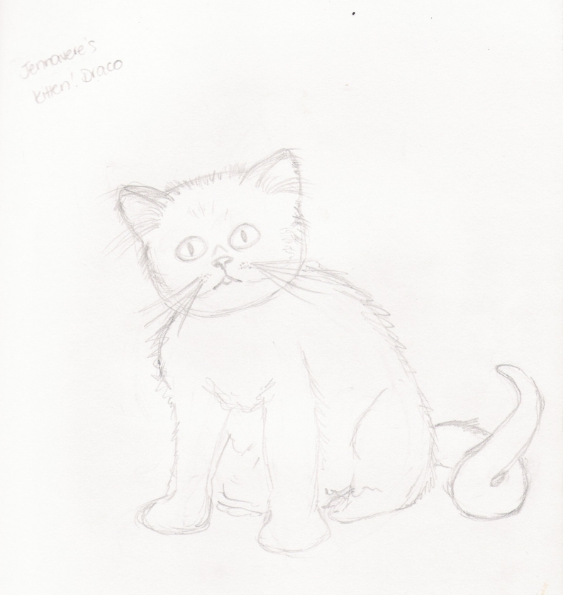 Kitten!Draco: Draft #1