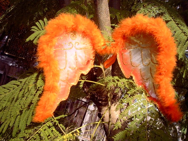 Angel Wings - orange