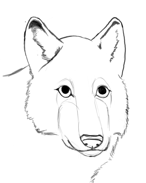 Wolfmaster - sketch