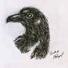 Inked Crow