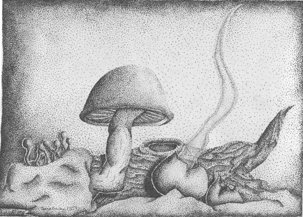 Stippled Mushrooms