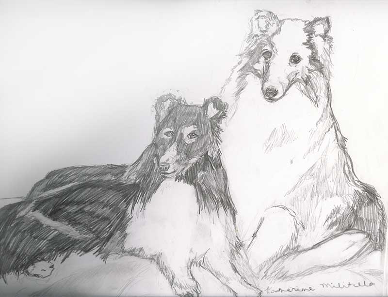 Dogs in pencil