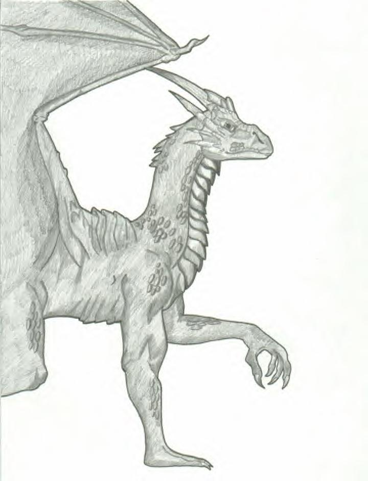 .::Dragon Sketch::.