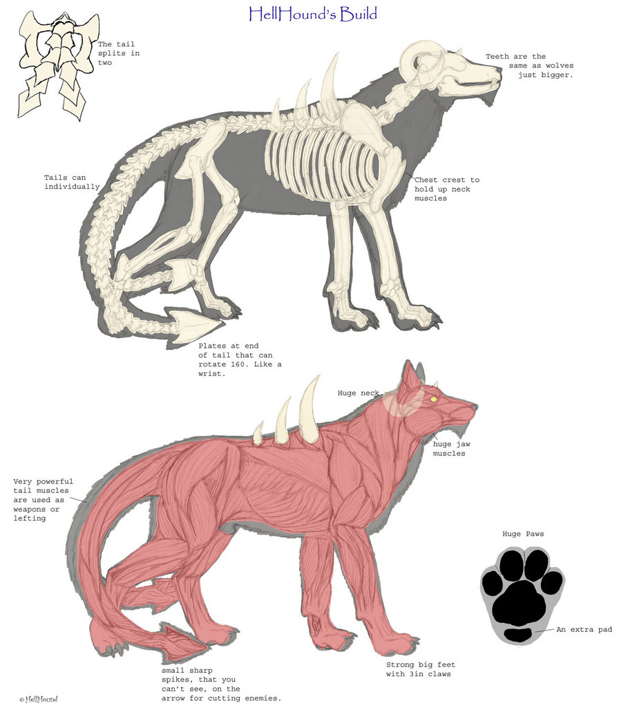 Hellhound's build