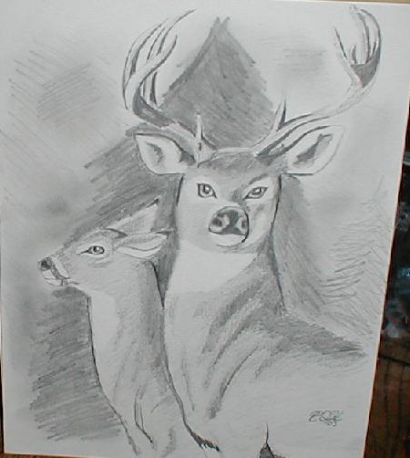 Deer and Doe