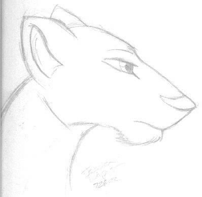Wow, I drew a lioness... with a new style.. go me...