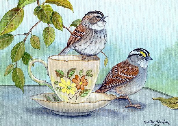 Tea for Two - white-throated sparrows