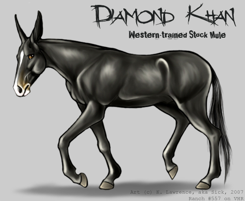 Diamond Khan - Mule Gelding