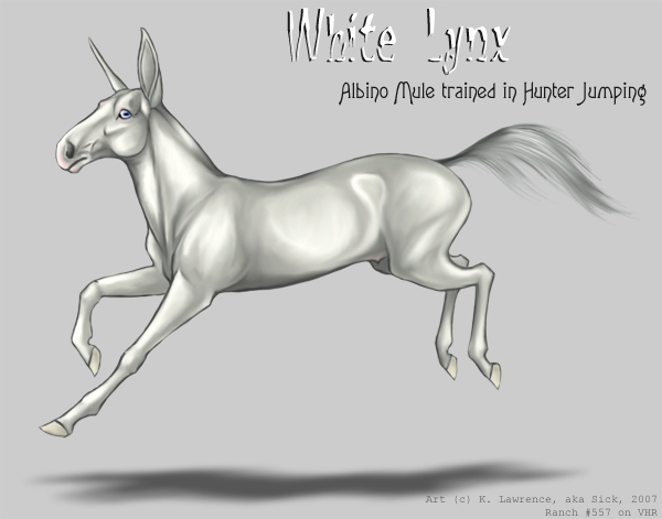 White Lynx, aka Muley go BOING