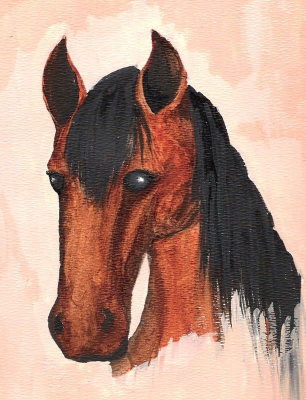 Brown horse