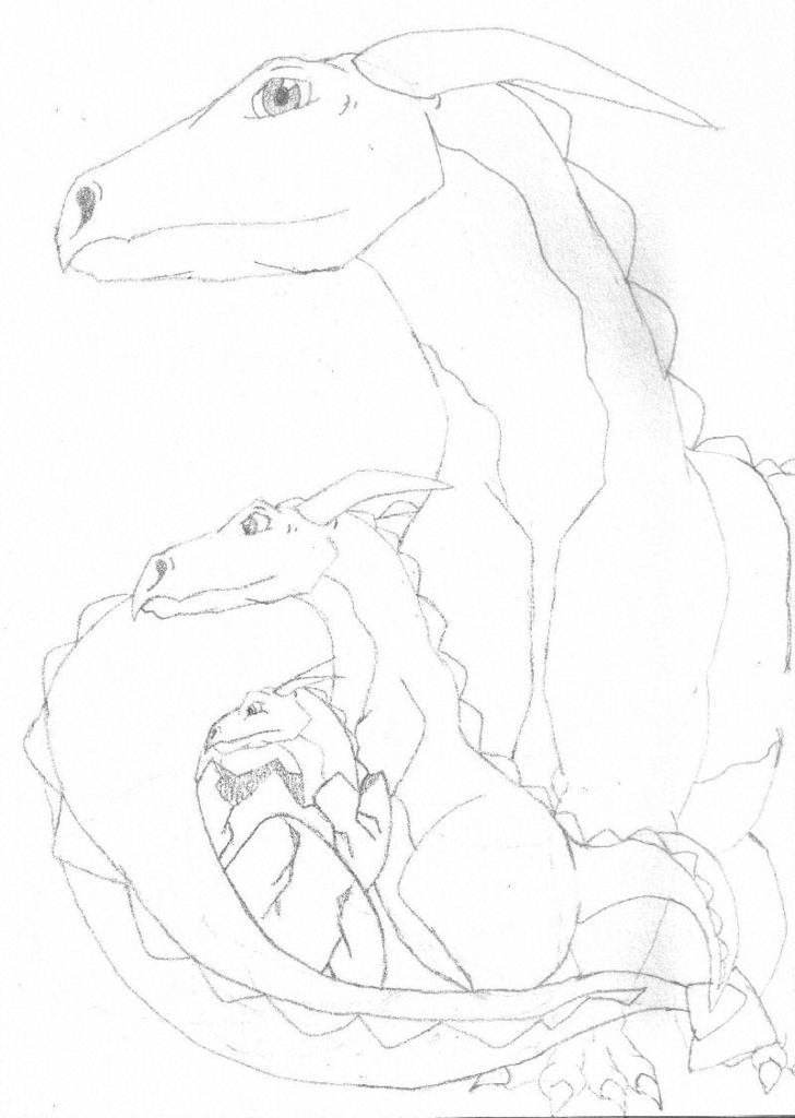 Dragon Metamorphosis Sketch