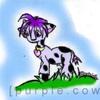 cute lil cow