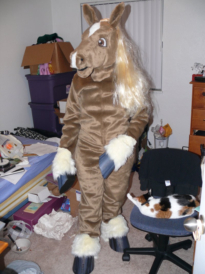 Pony costume