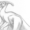 parasaurolophus sketch