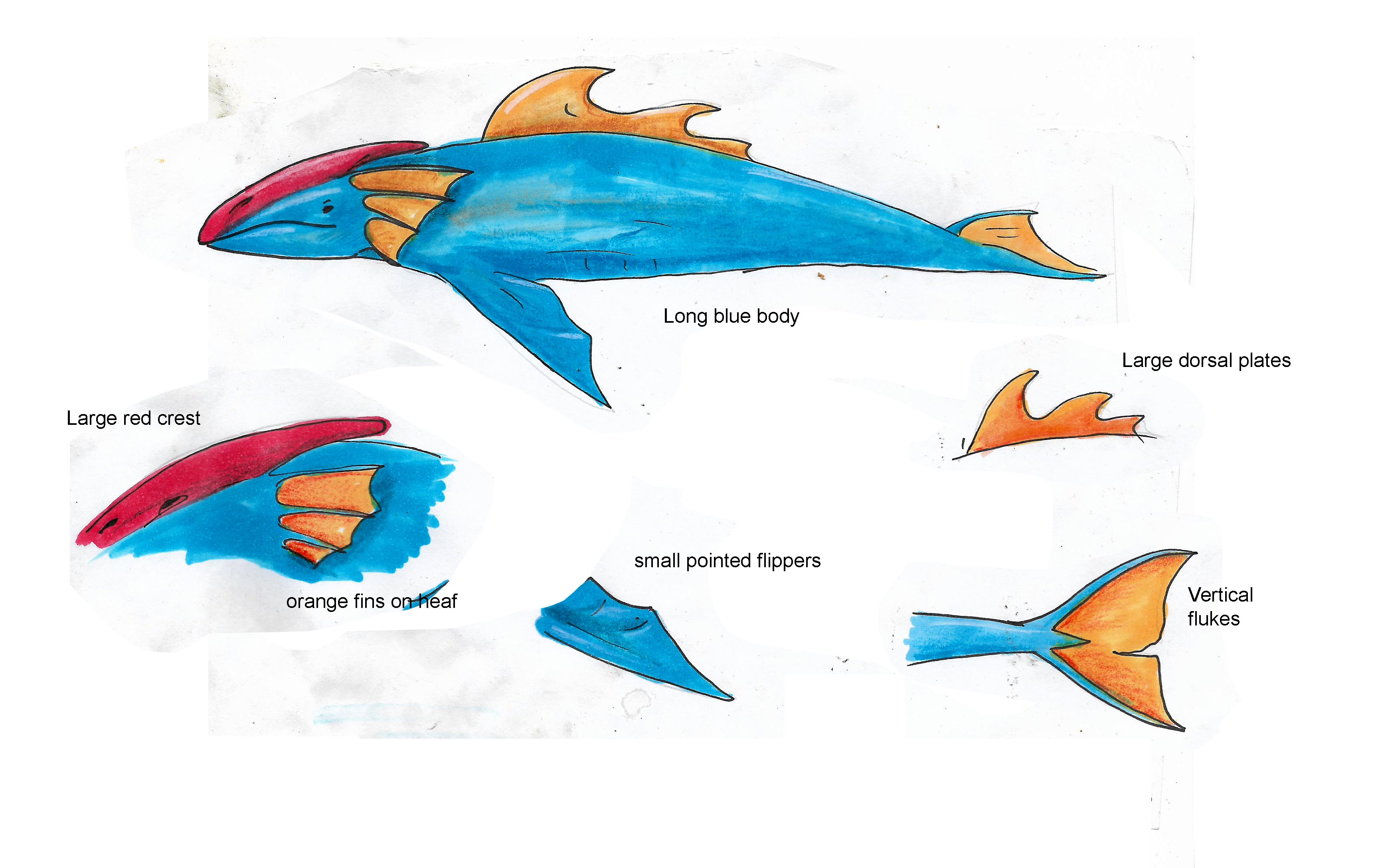Great sea monster anatomy