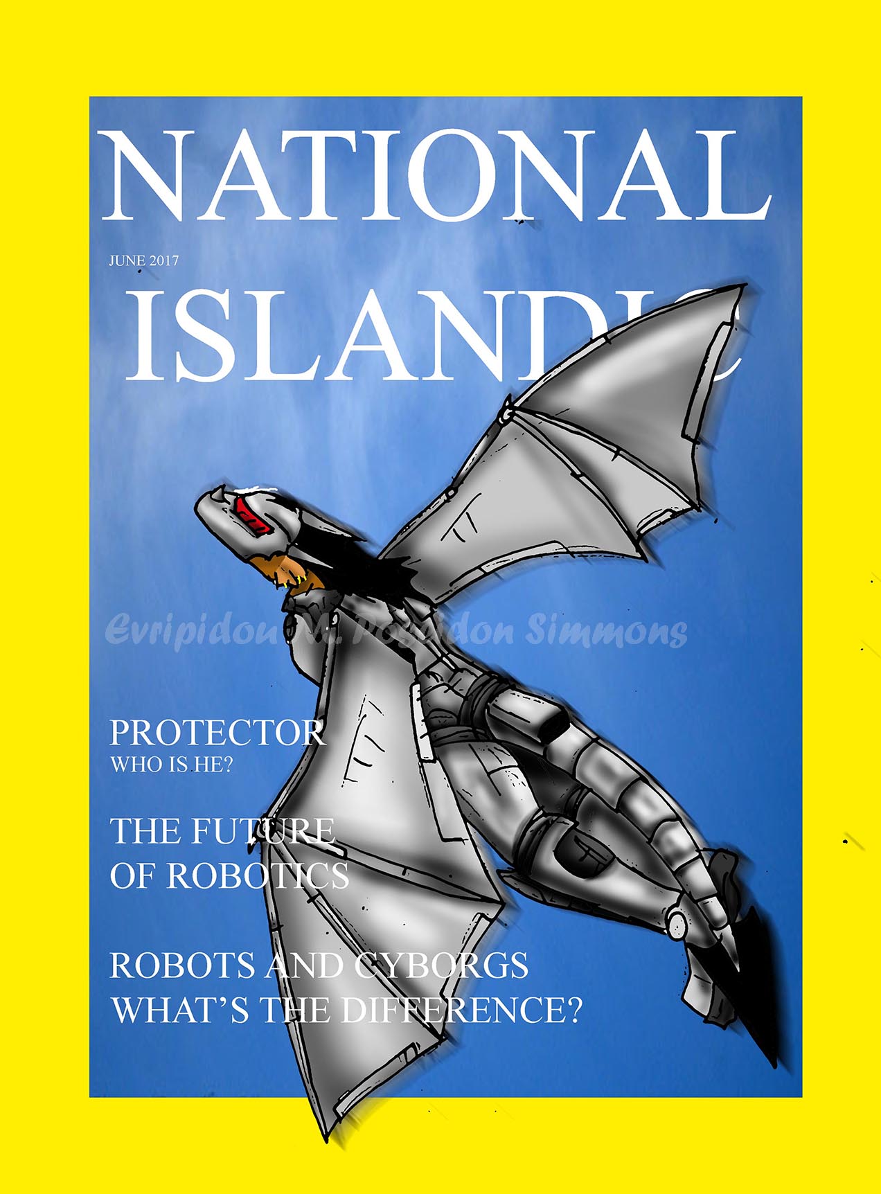 National Islandic-The protector