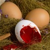 still life eggs