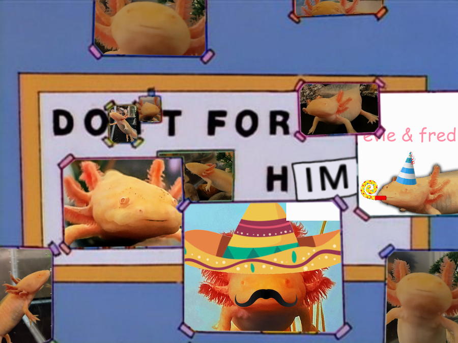 Do it for Fred