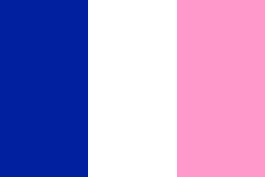 Flag of Feminist France
