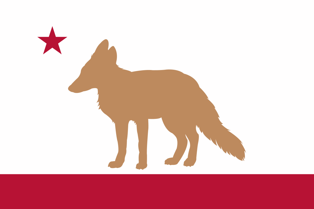 Flag of the Leth Confederacy