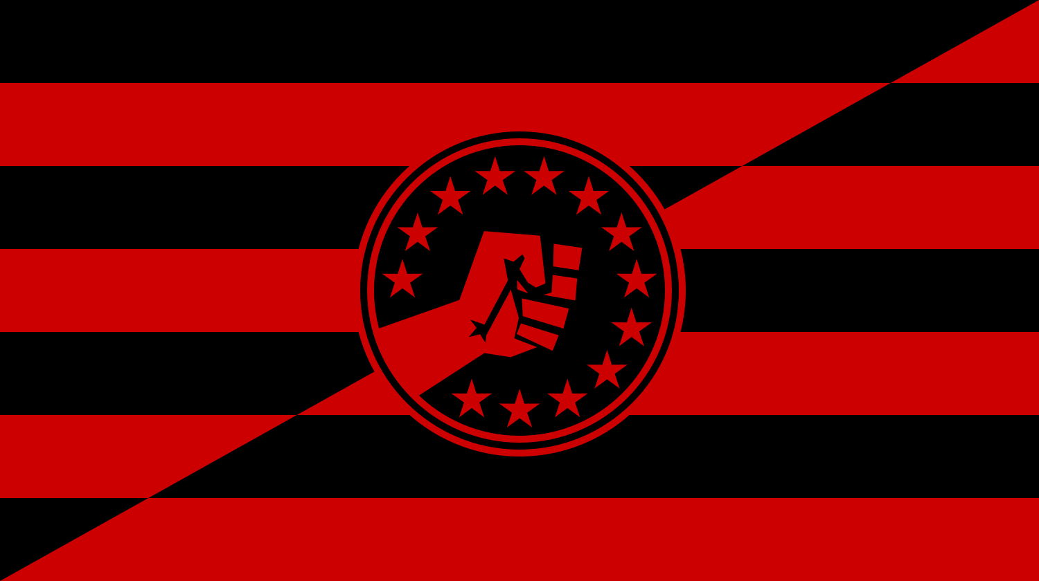 Anarcho-Syndicalist USA Flag