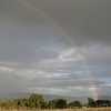 Rainbow across my homestead