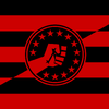 Anarcho-Syndicalist USA Flag