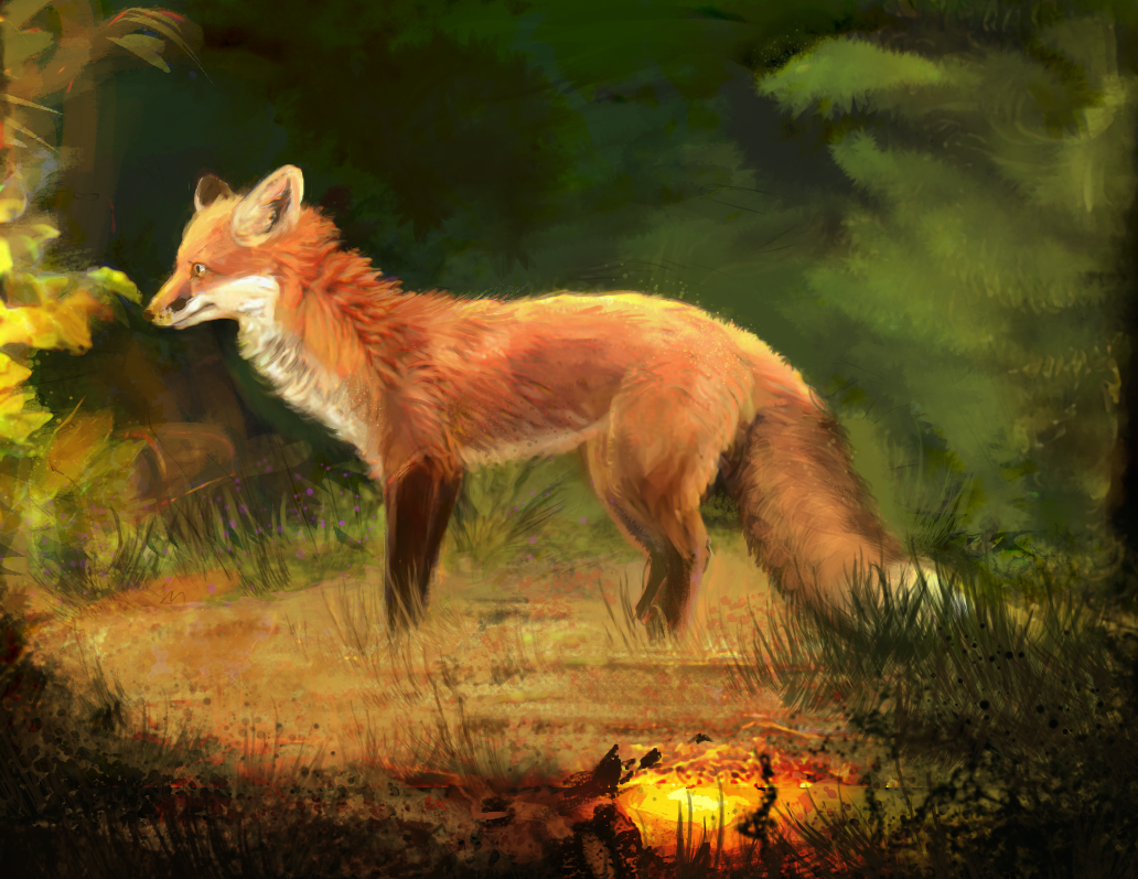 Fox Oekaki