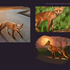 Quick Fox Painting Studies