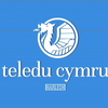 Teledu Cymru frontcap (1970)
