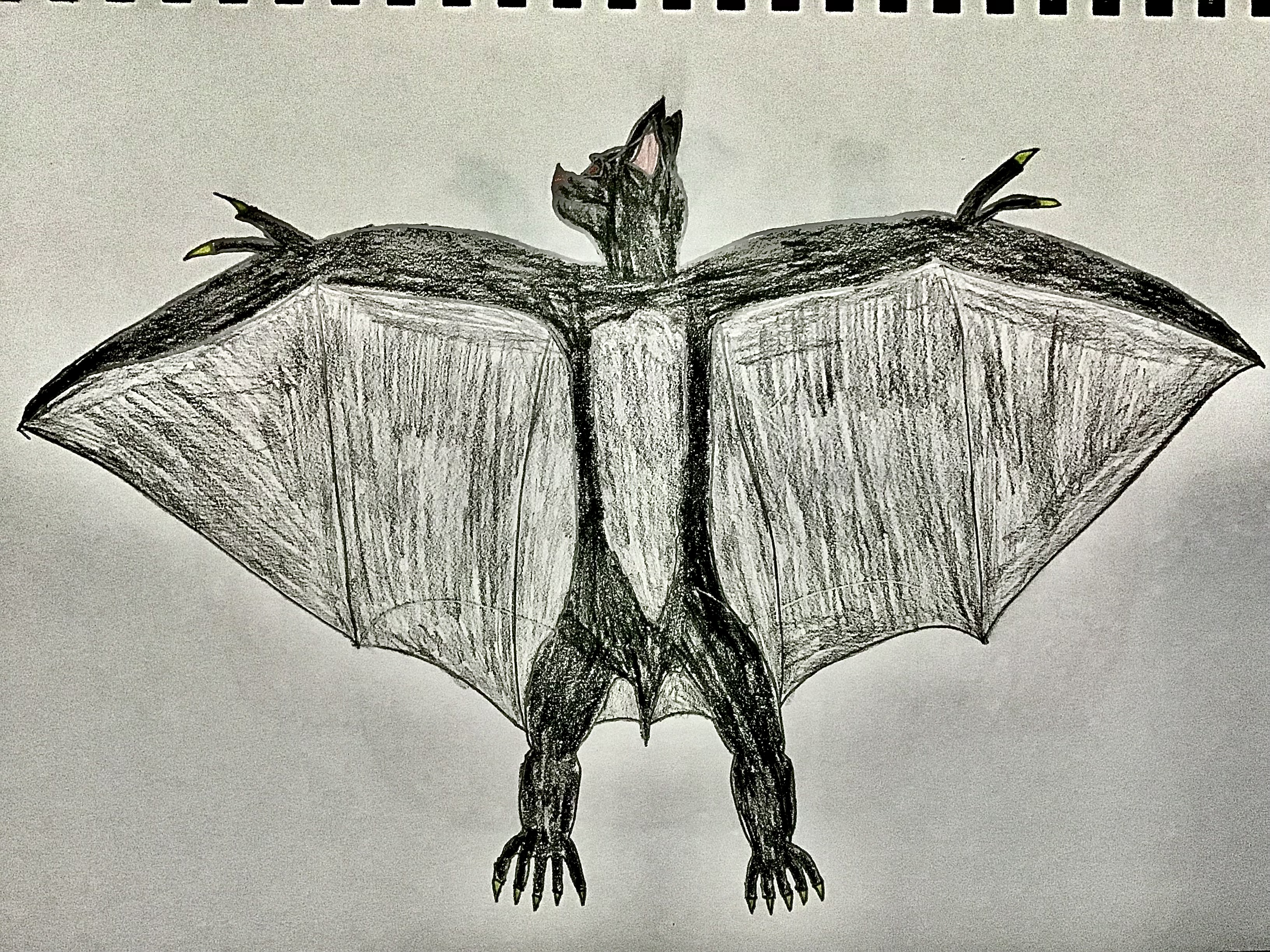 Sketchbook Bat