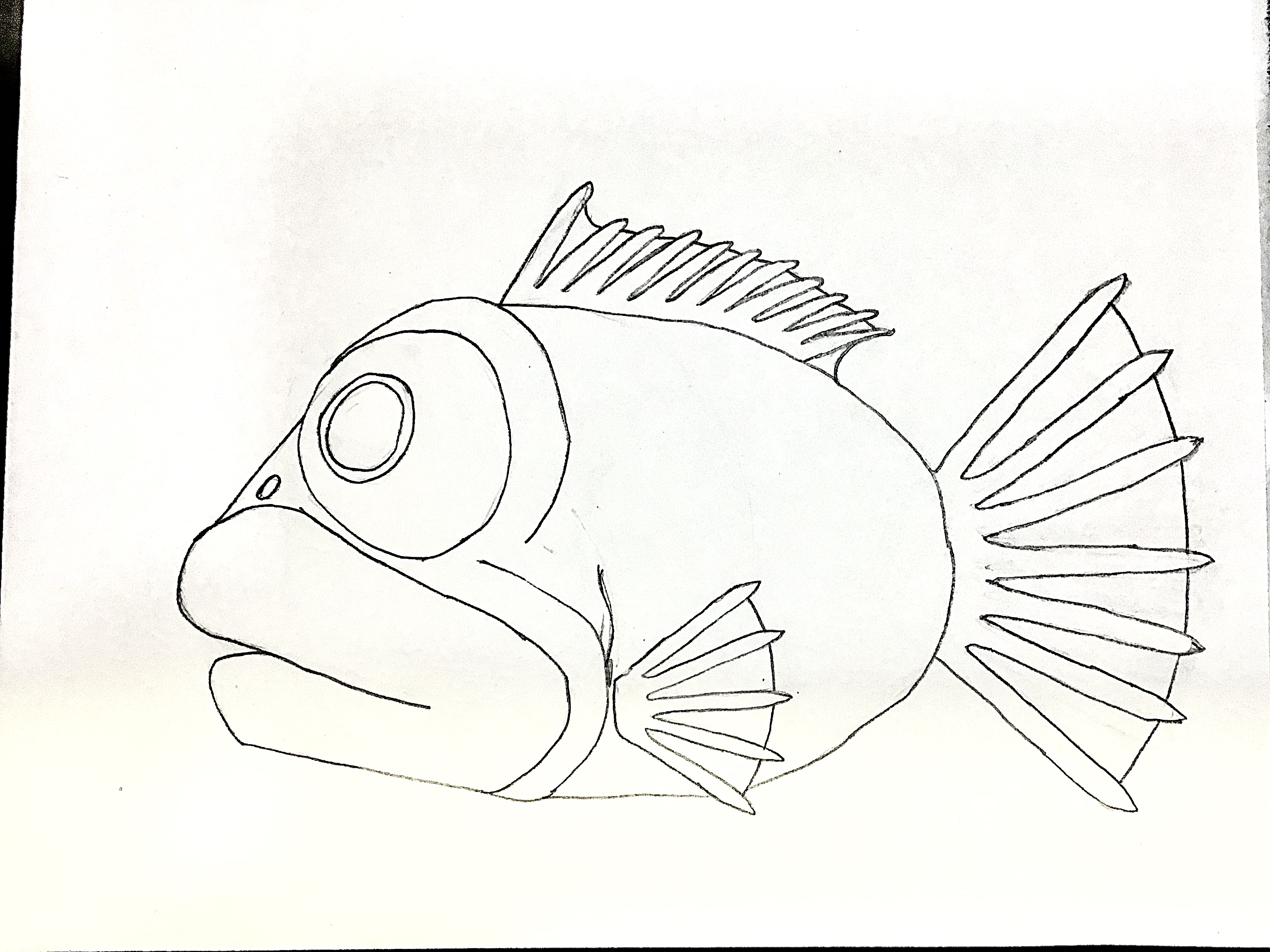 Big Eyed Fish Design